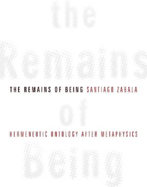 Cover of the book The Remains of Being by David Austin