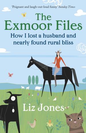 Cover of the book The Exmoor Files by Philip E. High