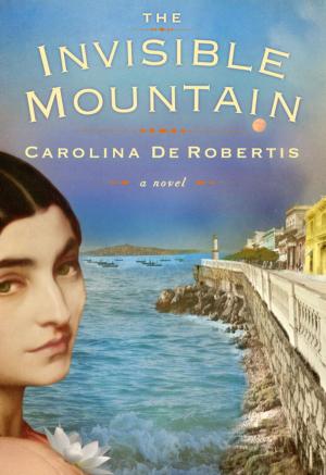 Cover of the book The Invisible Mountain by Willa Cather