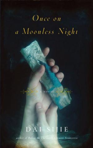 bigCover of the book Once on a Moonless Night by 