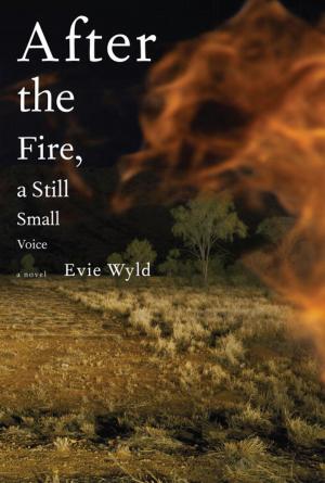 Cover of the book After the Fire, a Still Small Voice by Elaine Showalter