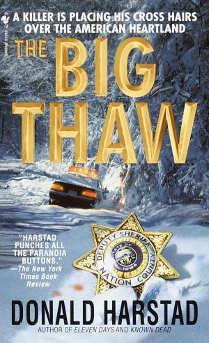 Cover of the book The Big Thaw by Jonathan Kellerman