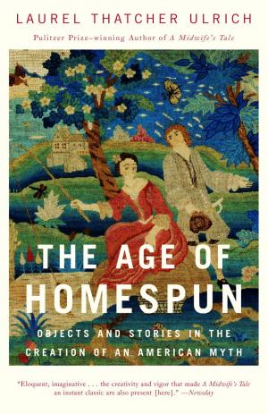 Cover of the book The Age of Homespun by Nina Simonds