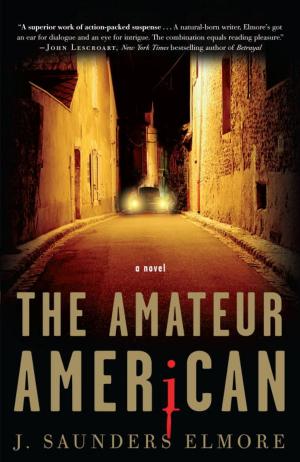 Cover of the book The Amateur American by Steven W. Horn