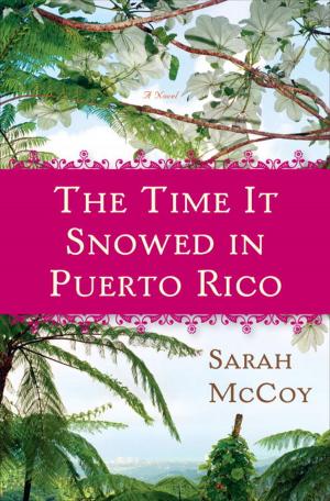 Book cover of The Time It Snowed in Puerto Rico