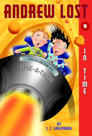 Book cover of Andrew Lost #9: In Time