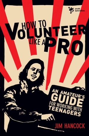 Cover of the book How to Volunteer Like a Pro by Michael Hodgin