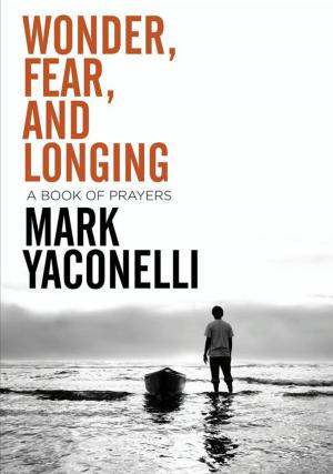 Cover of the book Wonder, Fear, and Longing, eBook by Andy Stanley