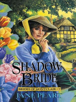 Cover of the book Shadow Bride by John Ortberg, Kevin & Sherry Harney