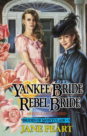 Cover of the book Yankee Bride / Rebel Bride by Walter Wangerin Jr.