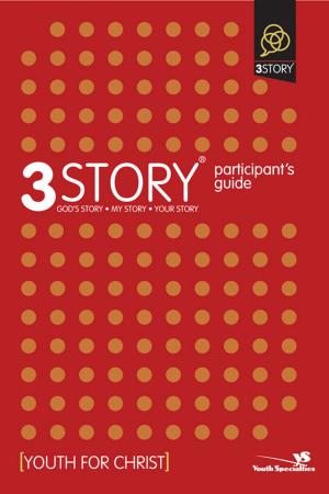 Book cover of 3Story Participant's Guide