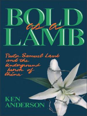 Cover of the book Bold as a Lamb by Melody Carlson