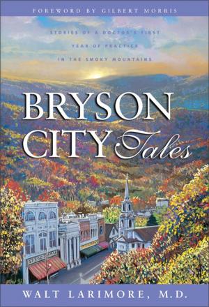 Cover of the book Bryson City Tales by Andrew Root