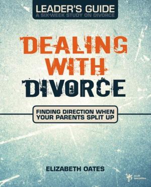 bigCover of the book Dealing with Divorce Leader's Guide by 