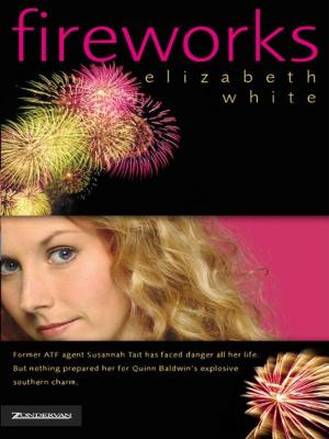 Cover of the book Fireworks by Janice and Jay Ashcraft