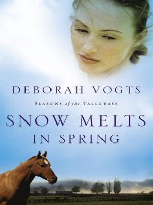 Cover of the book Snow Melts in Spring by Larry Crabb