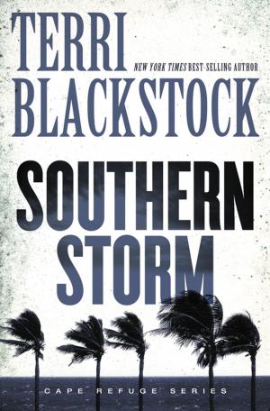 Cover of the book Southern Storm by Chelsea Crockett