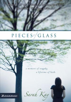 Cover of the book Pieces of Glass by Ace Collins