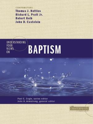 Book cover of Understanding Four Views on Baptism