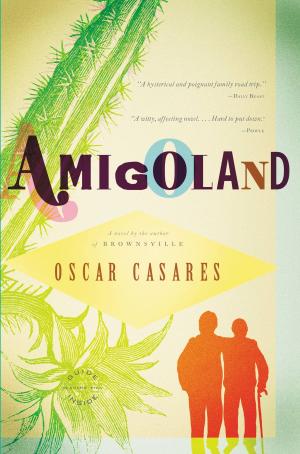 Cover of the book Amigoland by Peter Guralnick