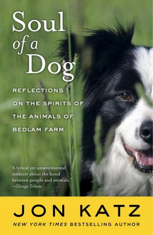 Cover of the book Soul of a Dog by John Saul