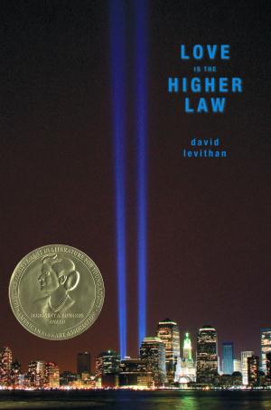 Cover of the book Love Is the Higher Law by Rich Wallace