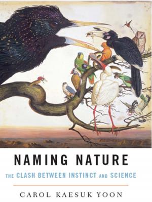 Cover of the book Naming Nature: The Clash Between Instinct and Science by Babette Rothschild