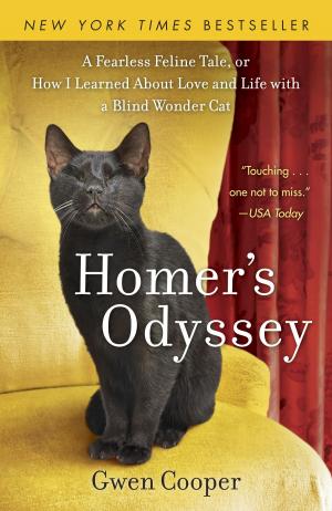 Cover of the book Homer's Odyssey by Ice-T, Douglas Century