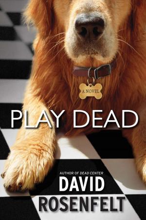 Cover of the book Play Dead by Kim Wilkins