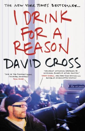 Cover of the book I Drink for a Reason by David Lindsey