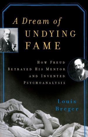 Cover of the book A Dream of Undying Fame by Pedro Domingos