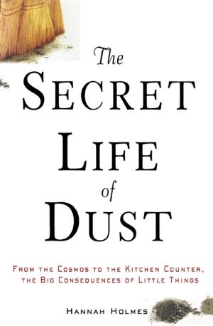 bigCover of the book The Secret Life of Dust by 