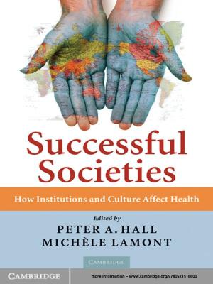 Cover of the book Successful Societies by Todd S. Sechser, Matthew Fuhrmann