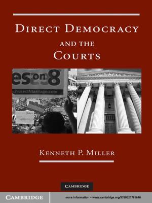 Cover of the book Direct Democracy and the Courts by Elizabeth Bouldin