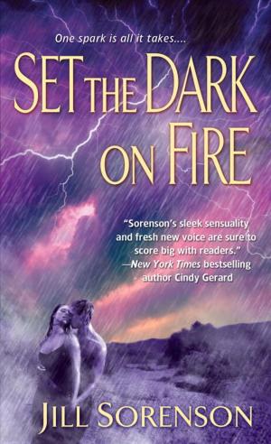 Cover of the book Set the Dark on Fire by Katie Flynn