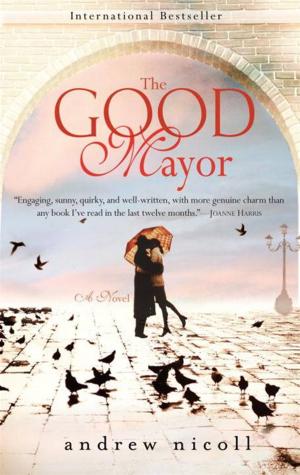 Cover of the book The Good Mayor by Jenna Black