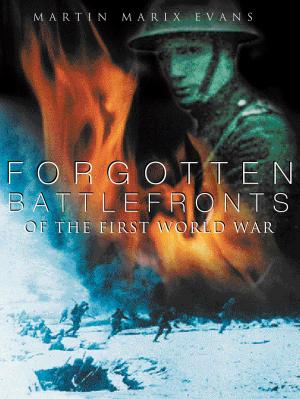 Book cover of Forgotten Battlefronts of the First World War