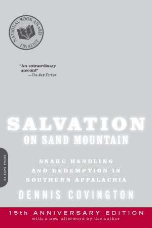 Cover of the book Salvation on Sand Mountain by David Halberstam