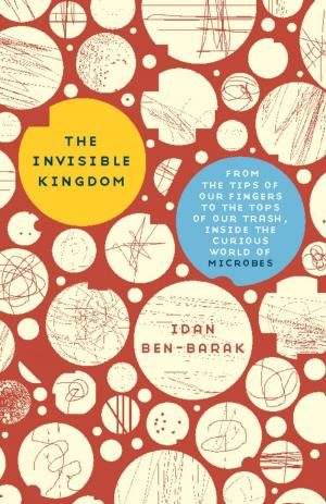 Cover of the book The Invisible Kingdom by Bruce W. Scotton, Allan B. Chinen, John R. Battista