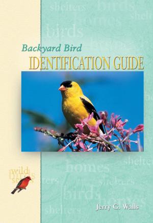 Cover of the book Backyard Bird Identification Guide by Rebecca K. O'Connor