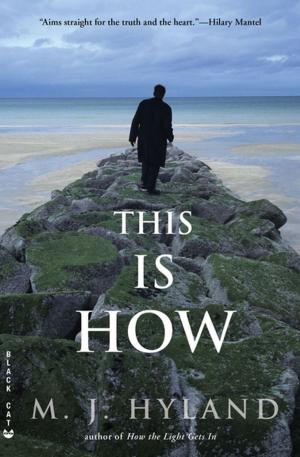 Cover of the book This Is How by Donna Leon