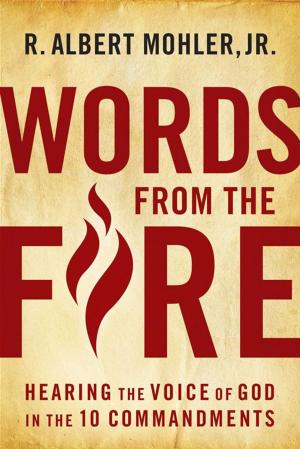 Cover of the book Words From The Fire: Hearing The Voice Of God In The 10 Commandments by Chapman, Gary