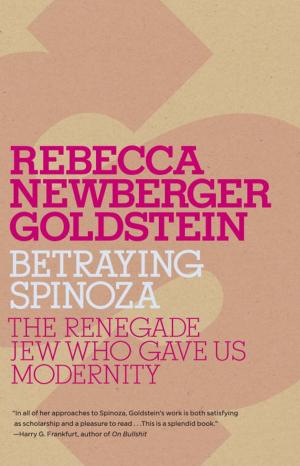 Cover of the book Betraying Spinoza by Robert Hughes