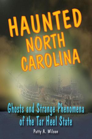 Cover of the book Haunted North Carolina by Ellen Spector Platt
