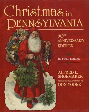 Cover of the book Christmas in Pennsylvania by Linda E. Brubaker