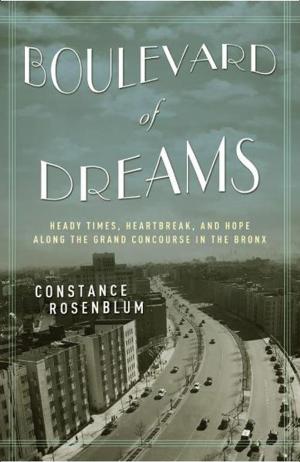 Cover of the book Boulevard of Dreams by Rumi Yasutake