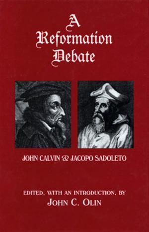 Cover of the book A Reformation Debate by Sergey Dolgopolski