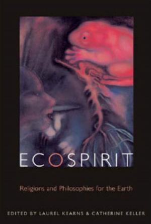 Cover of the book Ecospirit by Padma Rangarajan
