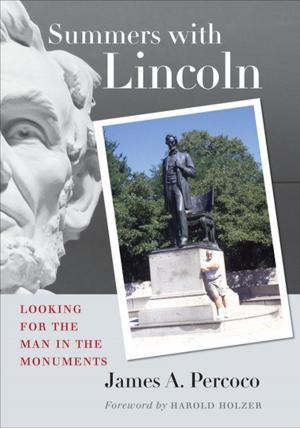 Cover of the book Summers with Lincoln by Brian Treanor, Martin Drenthen, David Utsler