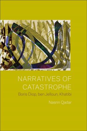 Cover of the book Narratives of Catastrophe by John Waldman